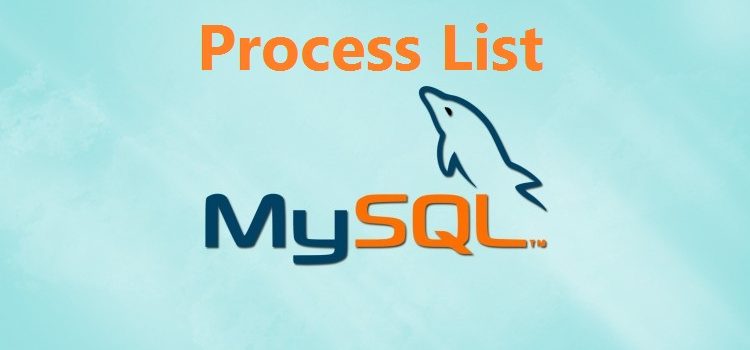 MySQL Process List Learning